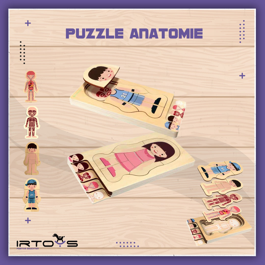 Puzzle Anatomie